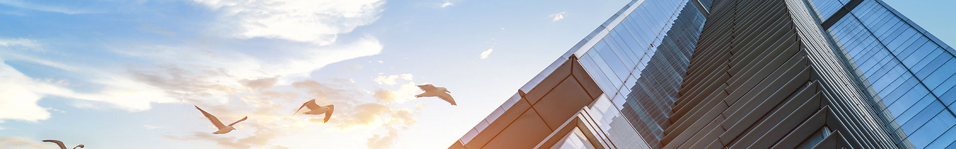 江門中天一正機(jī)電有限公司 江門中天一正機(jī)電有限公司